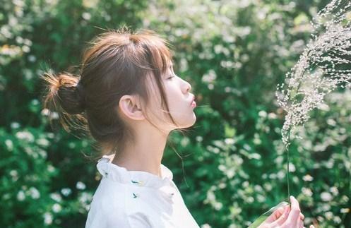 白莲花守则